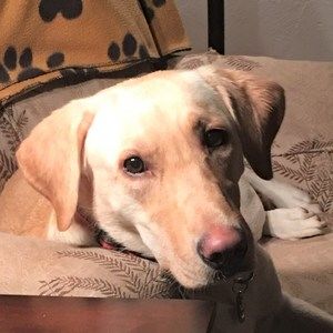 Meet your Posher, Barbara